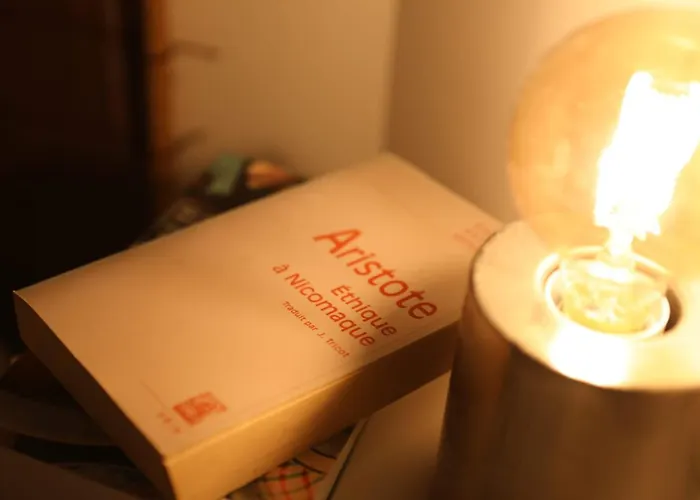 Apartment Le Nid 3 Etoiles Wifi, Netflix, Disney, Coeur De Bastide *